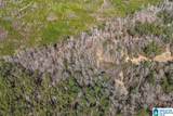 Lot 4 Highway 47 - Photo 20