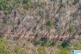 Lot 4 Highway 47 - Photo 22