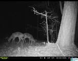 Lot 4 Highway 47 - Photo 23