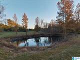 1815 County Road 1224 - Photo 8