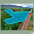 0 Bear Creek Road - Photo 3