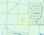 8260 Kermit Johnson Road - Photo 3