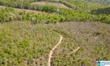 0 Landfill Road - Photo 11
