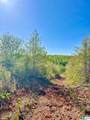 0 Landfill Road - Photo 15