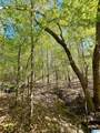 0 Landfill Road - Photo 16