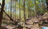 0 Landfill Road - Photo 8