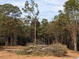16091 Jackson Trace Road - Photo 12