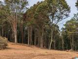 16091 Jackson Trace Road - Photo 13