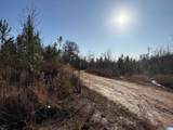 32 +/- Acres County Road 637 - Photo 5