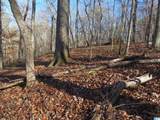 Lots 201, 202, Big Y Cove Loop - Photo 17