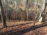 Lots 201, 202, Big Y Cove Loop - Photo 18