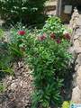 55 Benton Road - Photo 35