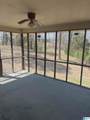 818 Creek Trail - Photo 3