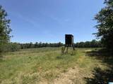 10 County Road 331 - Photo 39