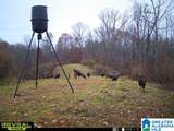 1925 Coaling Road - Photo 22
