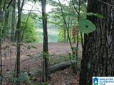 105 Point Aquarius - Photo 2