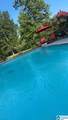 160 Hitching Post Circle - Photo 39