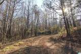 15 Mohawk Trail - Photo 11