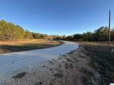 Lot 11 County Road 499 - Photo 9