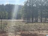 Lot 11 County Road 499 - Photo 5