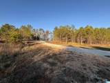 Lot 11 County Road 499 - Photo 8