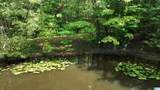 0 Oak Creek Road - Photo 8