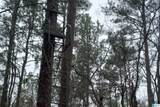 397 Kanasita Drive - Photo 42