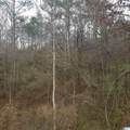 635 Deerbrook Road - Photo 5