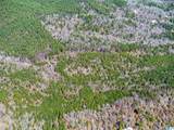 00 Flying L Ranch Road - Photo 7