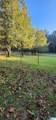 8536 Pine Mountain Road - Photo 60