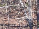 983 County Road 59 - Photo 88