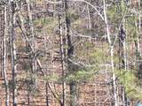 983 County Road 59 - Photo 89