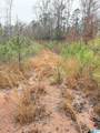 0000 County Road 472 - Photo 1
