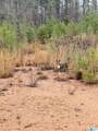 0000 County Road 472 - Photo 11