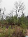0000 County Road 472 - Photo 4