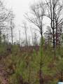 0000 County Road 472 - Photo 7