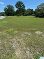0 County Road 437 - Photo 5