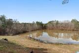 556 Martin Lane - Photo 62