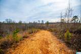 1365 County Road 290 - Photo 16