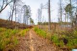 1365 County Road 290 - Photo 17
