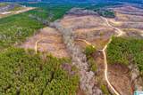 1365 County Road 290 - Photo 8