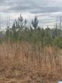1661 County Road 637 - Photo 2