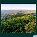 0 Cobb Lane - Photo 15