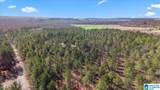 7680 County Road 35 - Photo 15