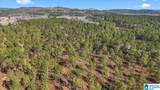 7680 County Road 35 - Photo 16