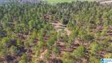 7680 County Road 35 - Photo 18