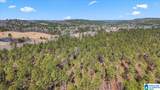 7680 County Road 35 - Photo 20