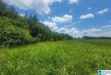 0 Highway 280 - Photo 1
