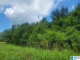 0 Highway 280 - Photo 4