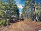 0 Us Highway 278 - Photo 7